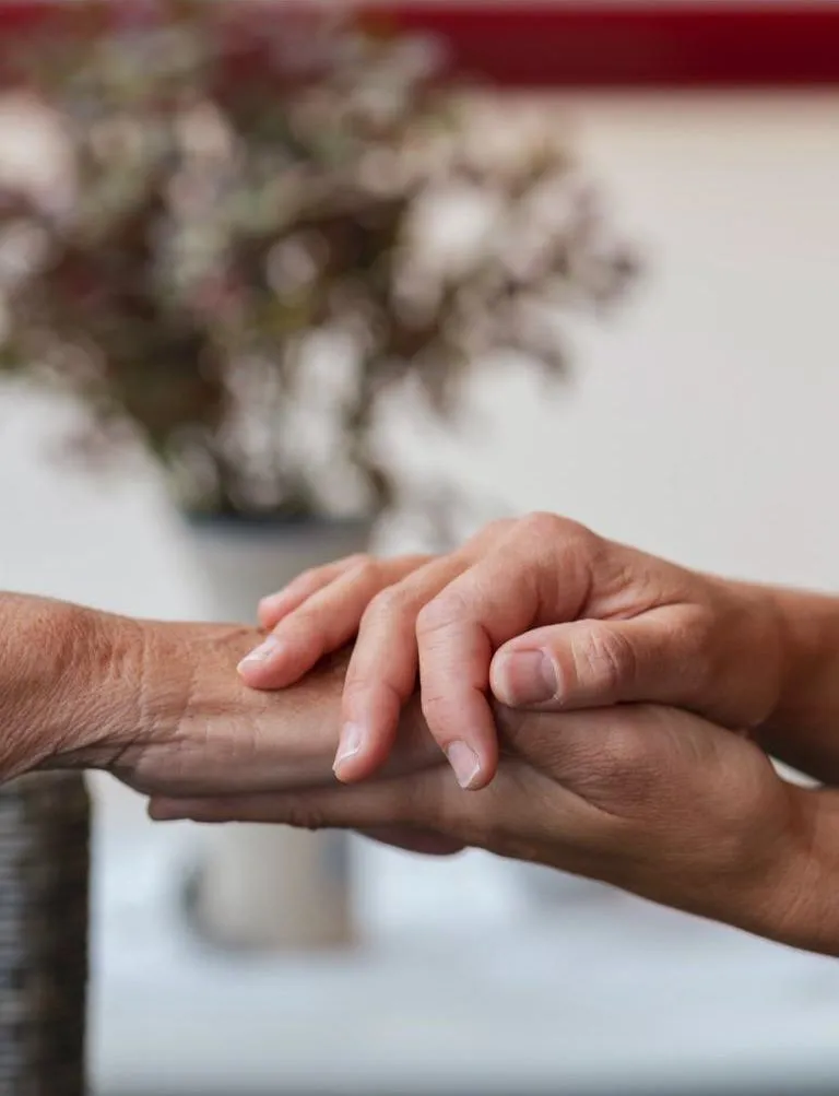 ayurvedic treatment for healing ailments